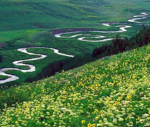 Preview wallpaper river, bends, mountains, glade, flowers