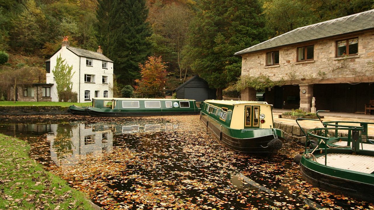 Wallpaper river, boat, fall, foliage