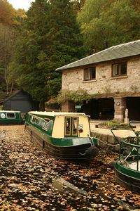 Preview wallpaper river, boat, fall, foliage