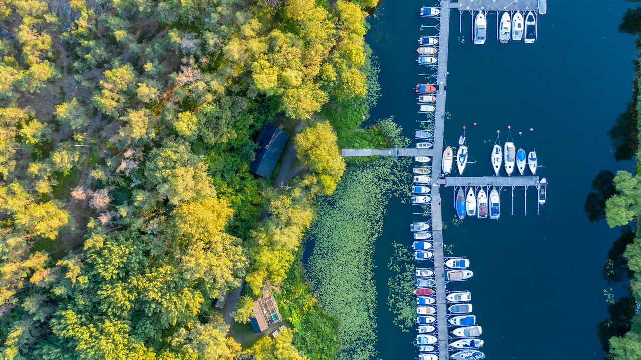 Wallpaper river, boats, pier, trees, aerial view
