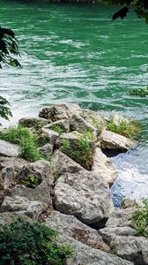 Preview wallpaper river, branches, stones, grass, waves