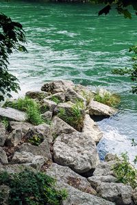 Preview wallpaper river, branches, stones, grass, waves
