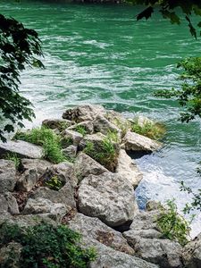 Preview wallpaper river, branches, stones, grass, waves