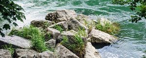 Preview wallpaper river, branches, stones, grass, waves