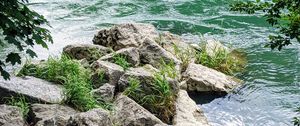 Preview wallpaper river, branches, stones, grass, waves
