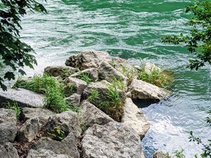 Preview wallpaper river, branches, stones, grass, waves