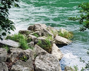Preview wallpaper river, branches, stones, grass, waves