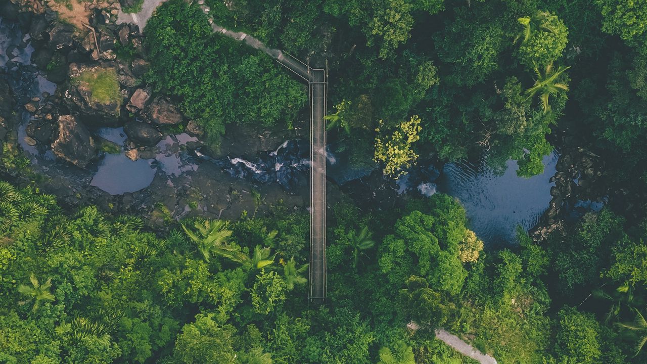 Wallpaper river, bridge, aerial view, forest, nature