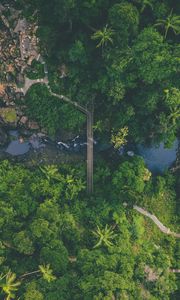 Preview wallpaper river, bridge, aerial view, forest, nature