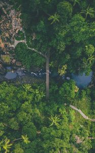 Preview wallpaper river, bridge, aerial view, forest, nature