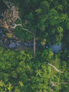 Preview wallpaper river, bridge, aerial view, forest, nature