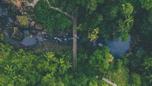 Preview wallpaper river, bridge, aerial view, forest, nature