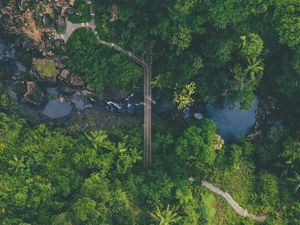 Preview wallpaper river, bridge, aerial view, forest, nature