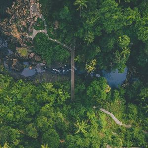 Preview wallpaper river, bridge, aerial view, forest, nature