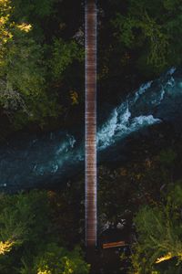 Preview wallpaper river, bridge, aerial view, trees, shore