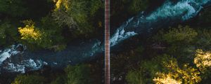 Preview wallpaper river, bridge, aerial view, trees, shore