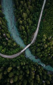 Preview wallpaper river, bridge, trees, aerial view, forest, spruce