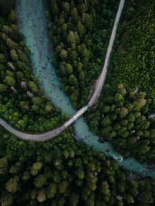 Preview wallpaper river, bridge, trees, aerial view, forest, spruce