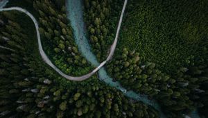 Preview wallpaper river, bridge, trees, aerial view, forest, spruce