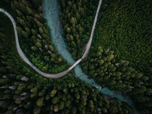 Preview wallpaper river, bridge, trees, aerial view, forest, spruce