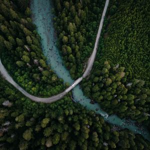 Preview wallpaper river, bridge, trees, aerial view, forest, spruce