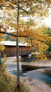 Preview wallpaper river, bridge, waterville, vermont, autumn, trees