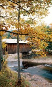 Preview wallpaper river, bridge, waterville, vermont, autumn, trees