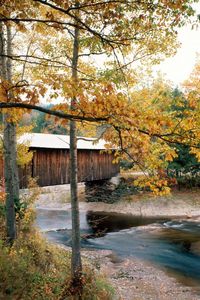 Preview wallpaper river, bridge, waterville, vermont, autumn, trees