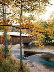 Preview wallpaper river, bridge, waterville, vermont, autumn, trees