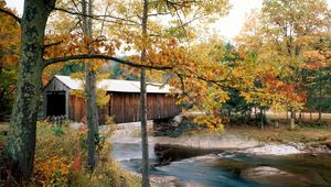 Preview wallpaper river, bridge, waterville, vermont, autumn, trees