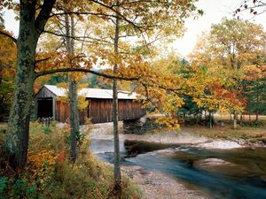 Preview wallpaper river, bridge, waterville, vermont, autumn, trees