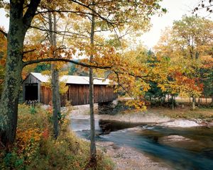 Preview wallpaper river, bridge, waterville, vermont, autumn, trees