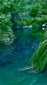 Preview wallpaper river, bushes, grass, nature