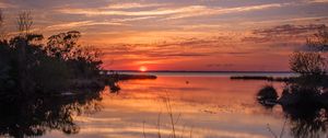 Preview wallpaper river, bushes, horizon, sunset, dark