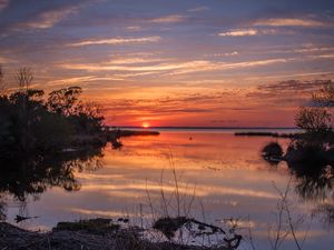 Preview wallpaper river, bushes, horizon, sunset, dark