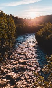 Preview wallpaper river, bushes, sun, rays, sky