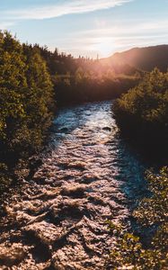 Preview wallpaper river, bushes, sun, rays, sky