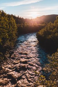 Preview wallpaper river, bushes, sun, rays, sky