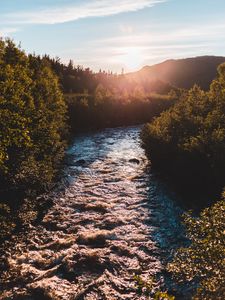 Preview wallpaper river, bushes, sun, rays, sky