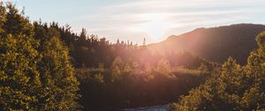 Preview wallpaper river, bushes, sun, rays, sky