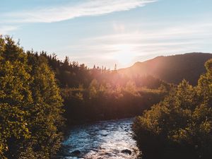 Preview wallpaper river, bushes, sun, rays, sky