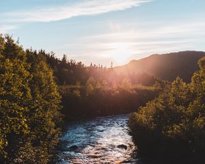 Preview wallpaper river, bushes, sun, rays, sky