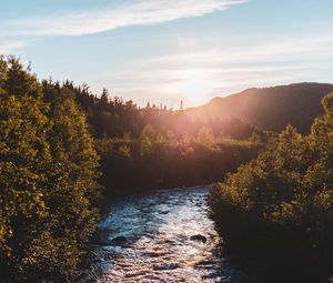 Preview wallpaper river, bushes, sun, rays, sky