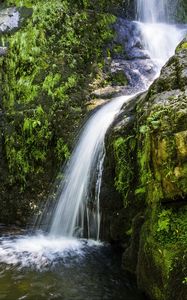 Preview wallpaper river, cascade, grass, nature
