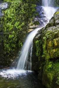 Preview wallpaper river, cascade, grass, nature