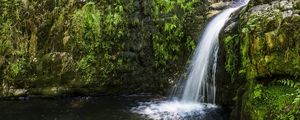 Preview wallpaper river, cascade, grass, nature
