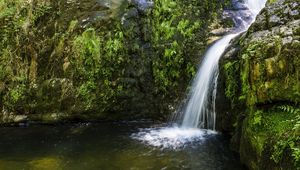 Preview wallpaper river, cascade, grass, nature