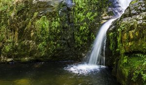 Preview wallpaper river, cascade, grass, nature