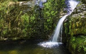 Preview wallpaper river, cascade, grass, nature