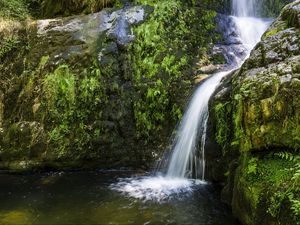 Preview wallpaper river, cascade, grass, nature